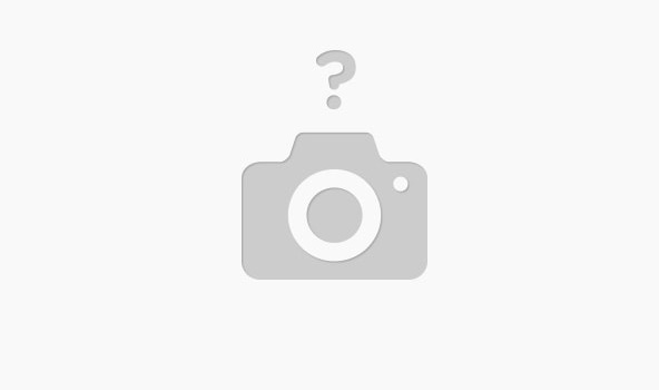 Winchester - XPR - 350 Legend for sale