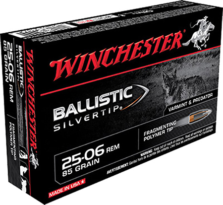 Winchester - Ballistic Silvertip - .25-06 Rem for sale