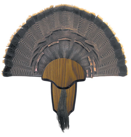 hunters specialties (gsm) - Turkey -  for sale