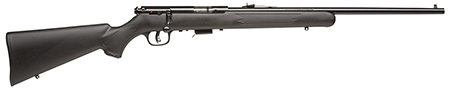 savage arms inc - Mark II - .17 HM2 for sale