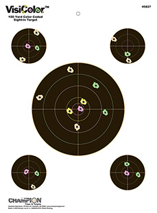 champion targets|revelyst - VisiColor -  for sale
