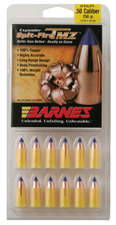 barnes bullets|bullseye - Spit-Fire T-EZ - 50 for sale