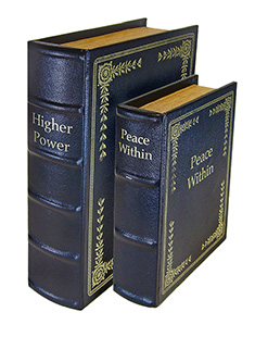 PS Products - Diversion Book Set -  for sale